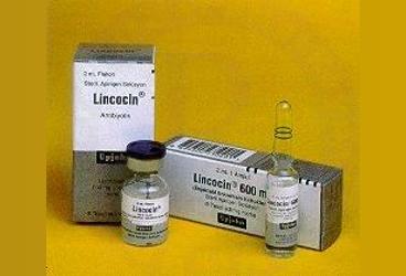 LINCOCIN 300 MG/ML STERIL COZELTI ICEREN 1 FLAKON
