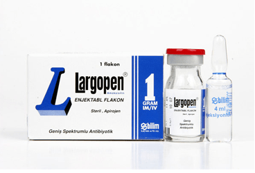LARGOPEN 1000 MG 1 FLAKON