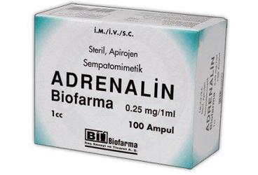ADRENALIN BIOFARMA 0,25 MG/1 ML 100 AMPUL