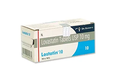 LOVASTATIN 10 MG 100 TABLET