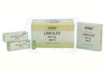 LINKOLES AMPUL 2 ML 600 MG 1 AMPUL