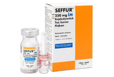 SEFFUR 250 MG IM ENJEKSIYONLUK TOZ ICEREN FLAKON