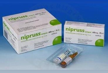 NIPRUSS AMPUL 60 MG 5 ML 5 AMPUL