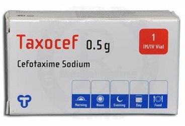 TAXOCEF- IM/IV   500 MG 1 FLAKON