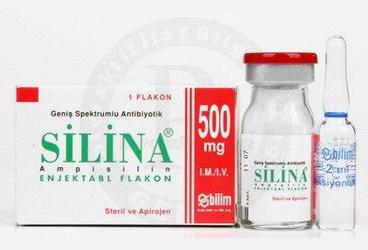 SILINA 500 MG 1 FLAKON