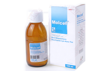 MOLCEF 100 MG/5 ML ORAL SUSPANSIYON HAZIRLAMAK ICIN KURU TOZ 100 ML