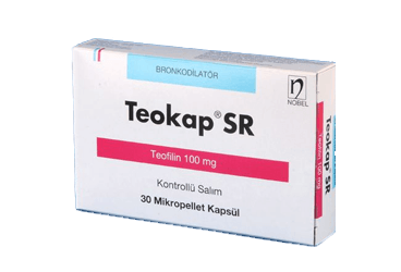 TEOKAP SR 100 MG 30 KAPSUL
