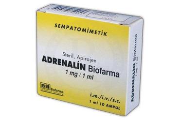 ADRENALIN BIOFARMA  1 MG 10 AMPUL
