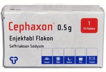 CEPHAXON IV   500 MG 1 FLAKON