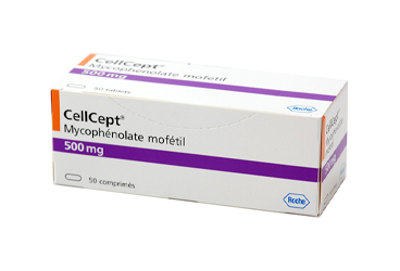 CELLCEPT 500 MG 50 TABLET