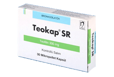 TEOKAP SR 300 MG 30 KAPSUL