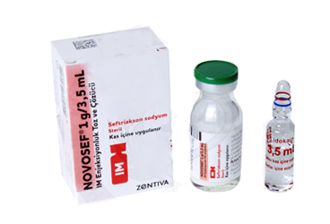 NOVOSEF 1000 MG IM 1 FLAKON