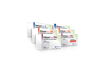 SEFAZOL 1000 MG IM ENJEKSIYONLUK TOZ ICEREN FLAKON ( 1 FLAKON,1 AMPUL)