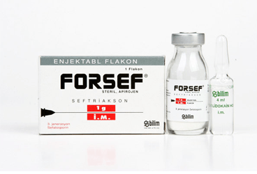 FORSEF IM  1000 MG  1 FLAKON