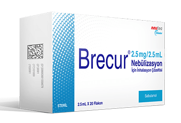 BRECUR 2,5 MG 2,5 ML NEBULIZASYON ICIN INHALASYON COZELTISI (20 FLAKON )