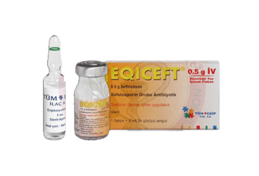 EQICEFT- IV 500 MG 1 FLAKON