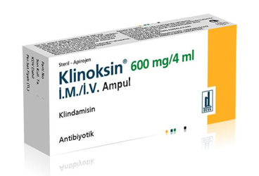 KLINOKSIN 600 MG 1 AMPUL