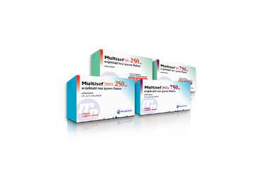 MULTISEF 750 MG IM ENJEKSIYONLUK TOZ ICEREN FLAKON (1 FLAKON 1 AMPUL)