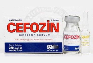 CEFOZIN IM LID.   250 MG 1 FLAKON