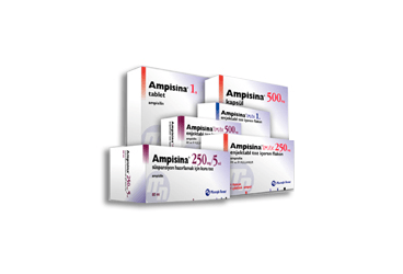 AMPISINA 500 MG 16 KAPSUL